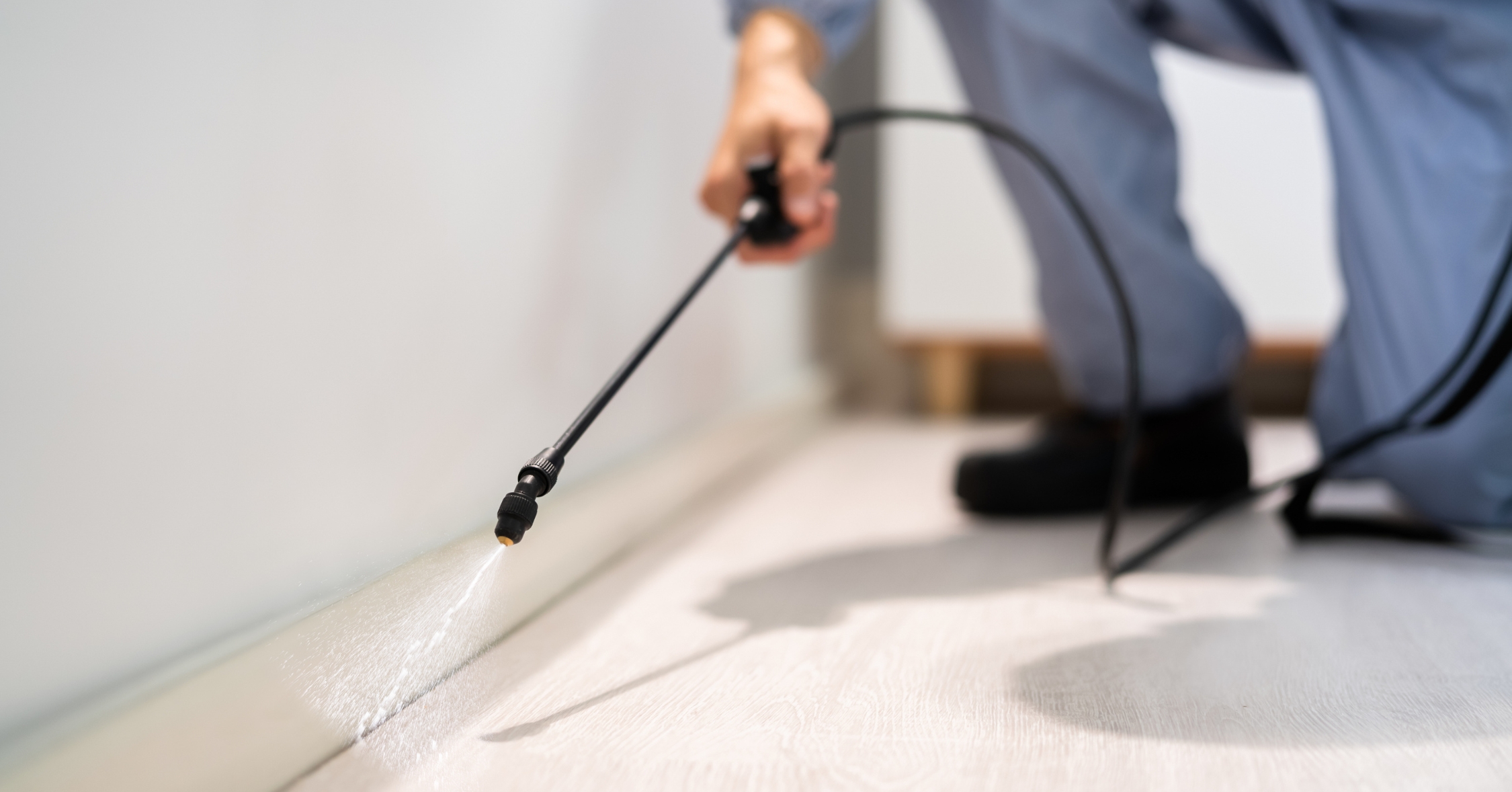 Pest control services spraying pesticide